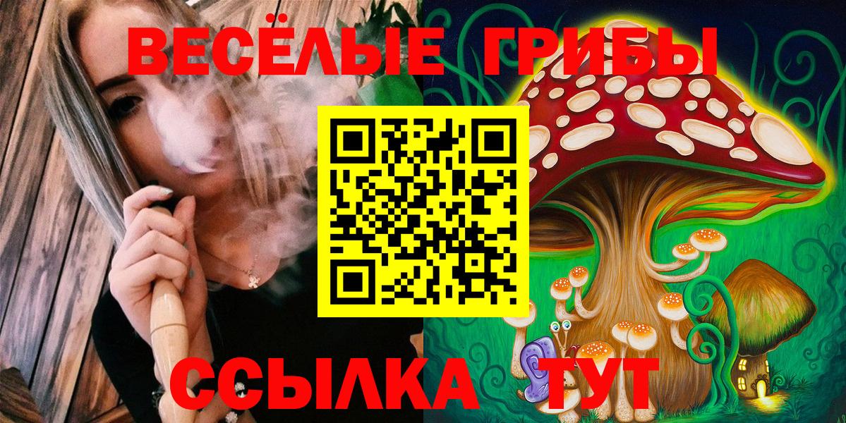Троицк  Галлюциногенные грибы Psilocybine cubensis  Вход с VPN 
