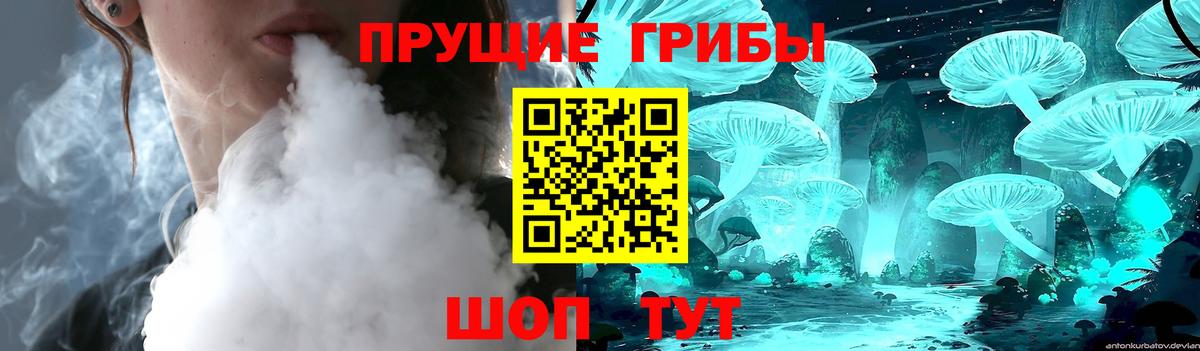 Псилоцибиновые грибы Psilocybe Троицк
